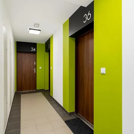 Zlocien Paris Studio *