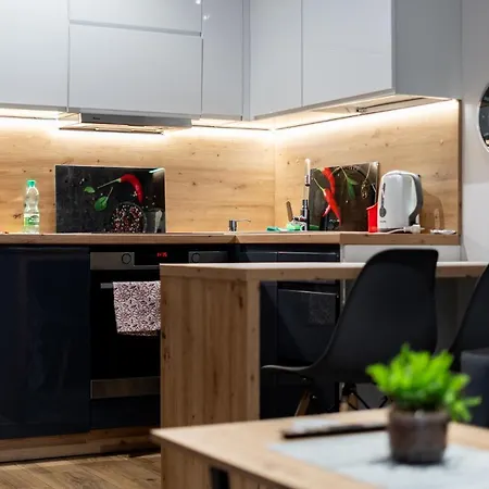Zlocien Paris Studio 아파트 크라쿠프